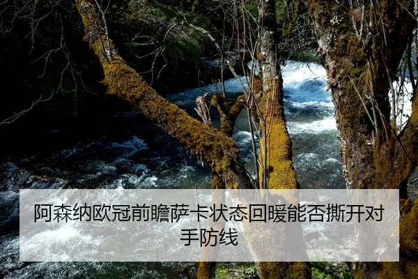 阿森纳欧冠前瞻萨卡状态回暖能否撕开对手防线